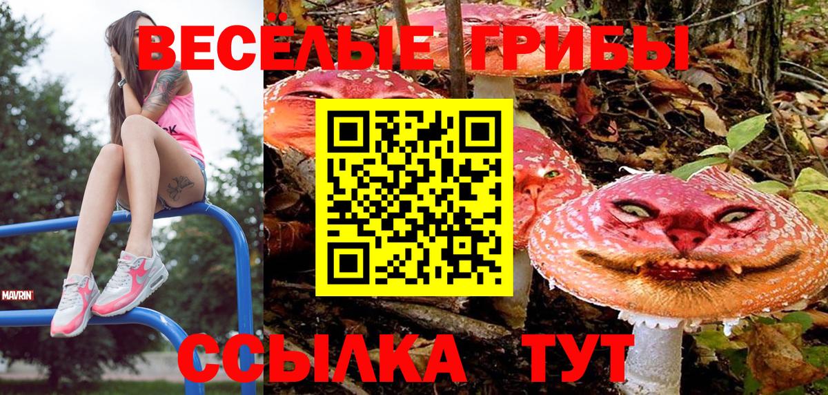 Бахчисарай  где купить наркоту  Вход с VPN  Галлюциногенные грибы ЛСД 